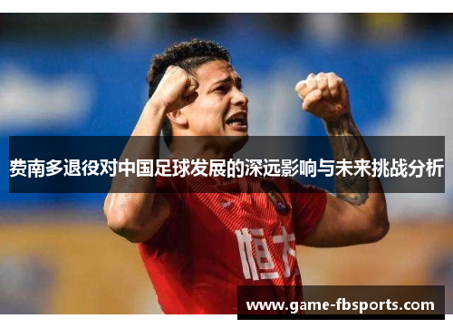 费南多退役对中国足球发展的深远影响与未来挑战分析